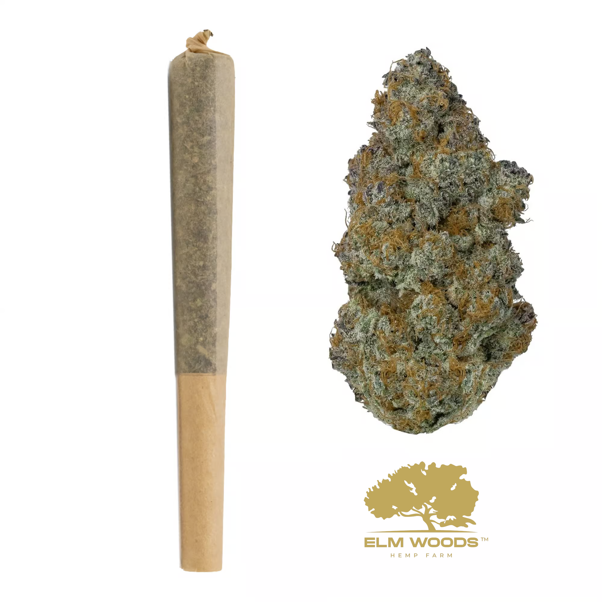 Gmo Cookies 1G Pre-Rolls Case 100